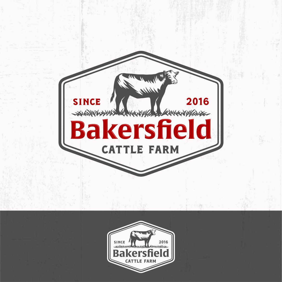 Logo Design by design.picnic for this project | Design #31187451