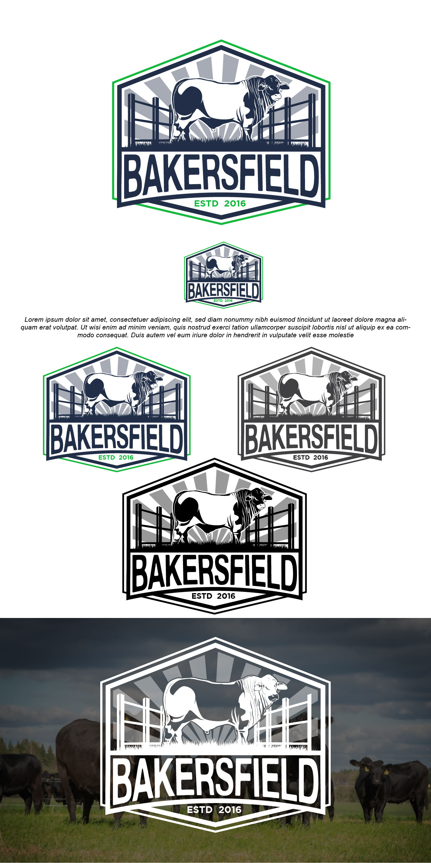 Logo Design by VisionCraft for this project | Design #31183656