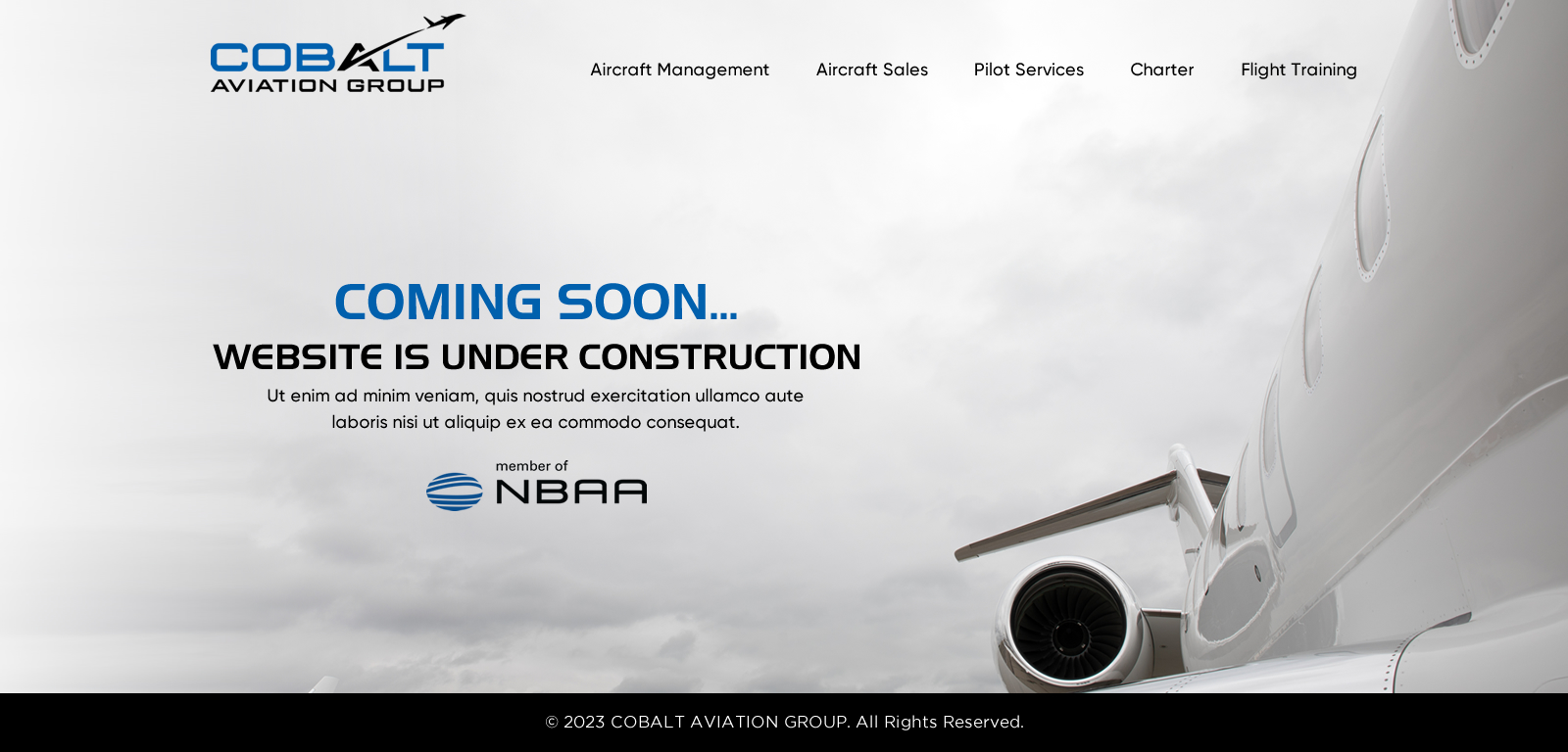 Web Design par Sbss pour ce projet | Design #31160062