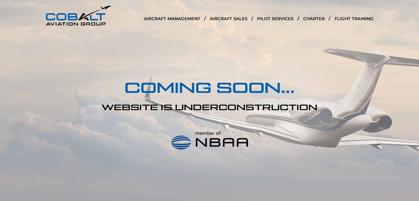 Web Design by Creative Design for this project | Design #31163692