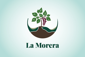 Logo Design by Artispire