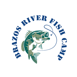 Logo Design by KVDenis