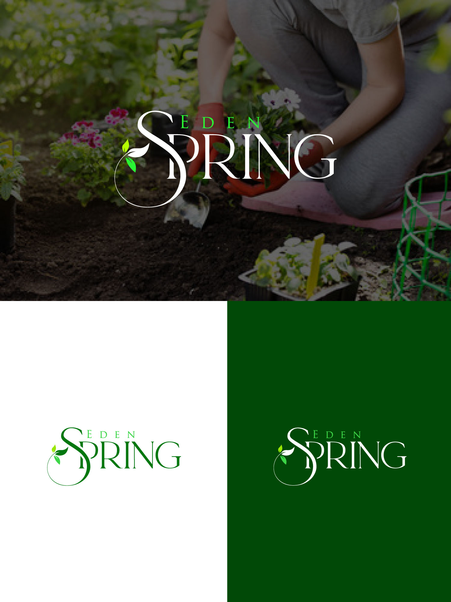 Design de Logo par AyaanArt pour ce projet | Design #31158611