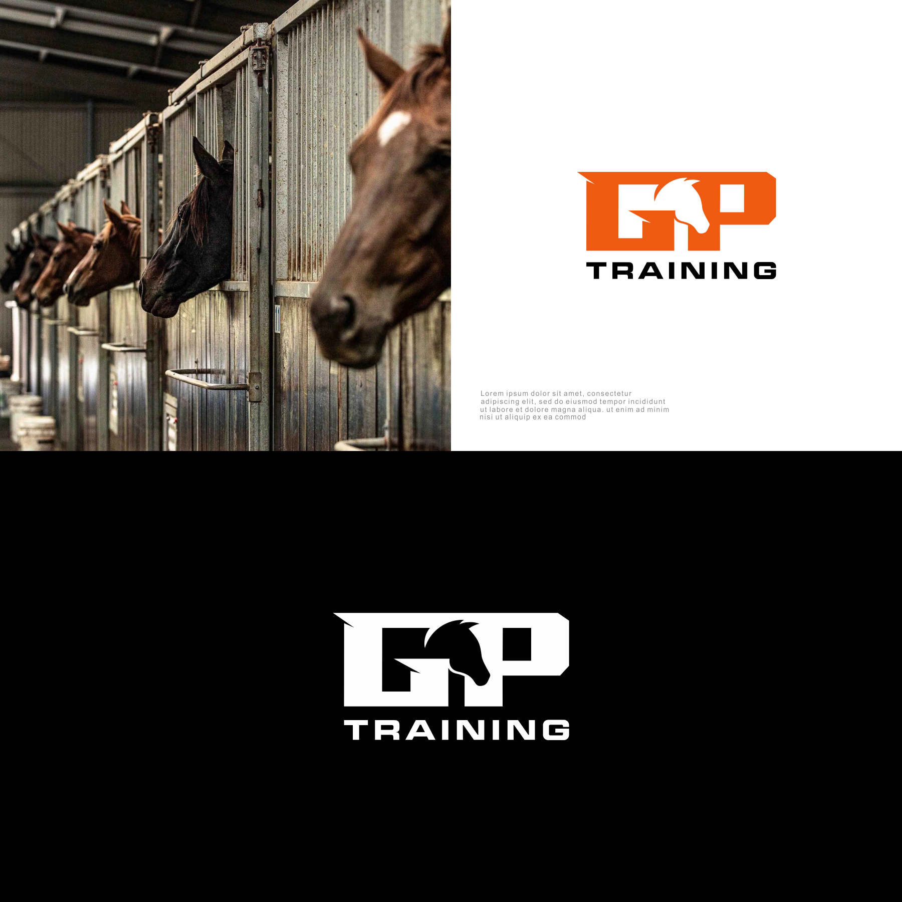 Logo Design by sabina aiko for this project | Design #31160079