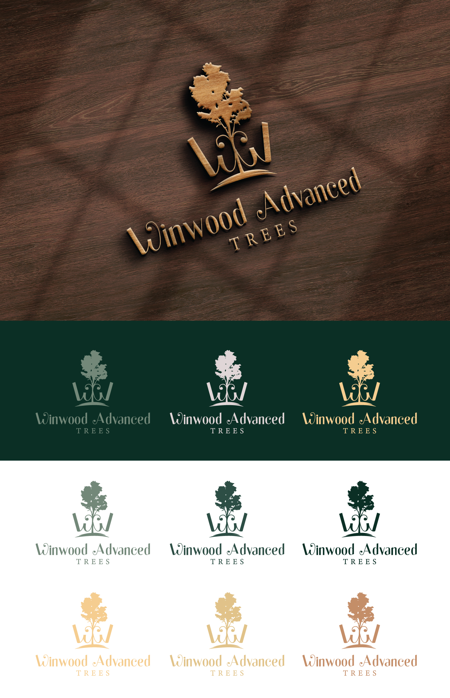 Graphic Design by StromDesignHub for this project | Design #31184834