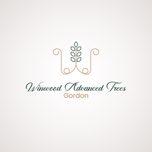 Graphic Design by Artbysskdesign for this project | Design: #31173942