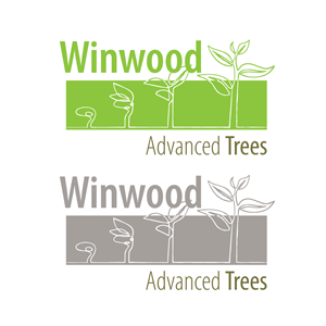 Graphic Design by KVDenis for this project | Design: #31273278