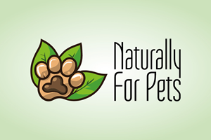 Logo Design by Artispire