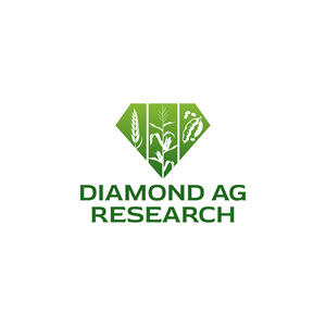 Logo Design by Aljune Castro Designs for this project | Design: #31169116