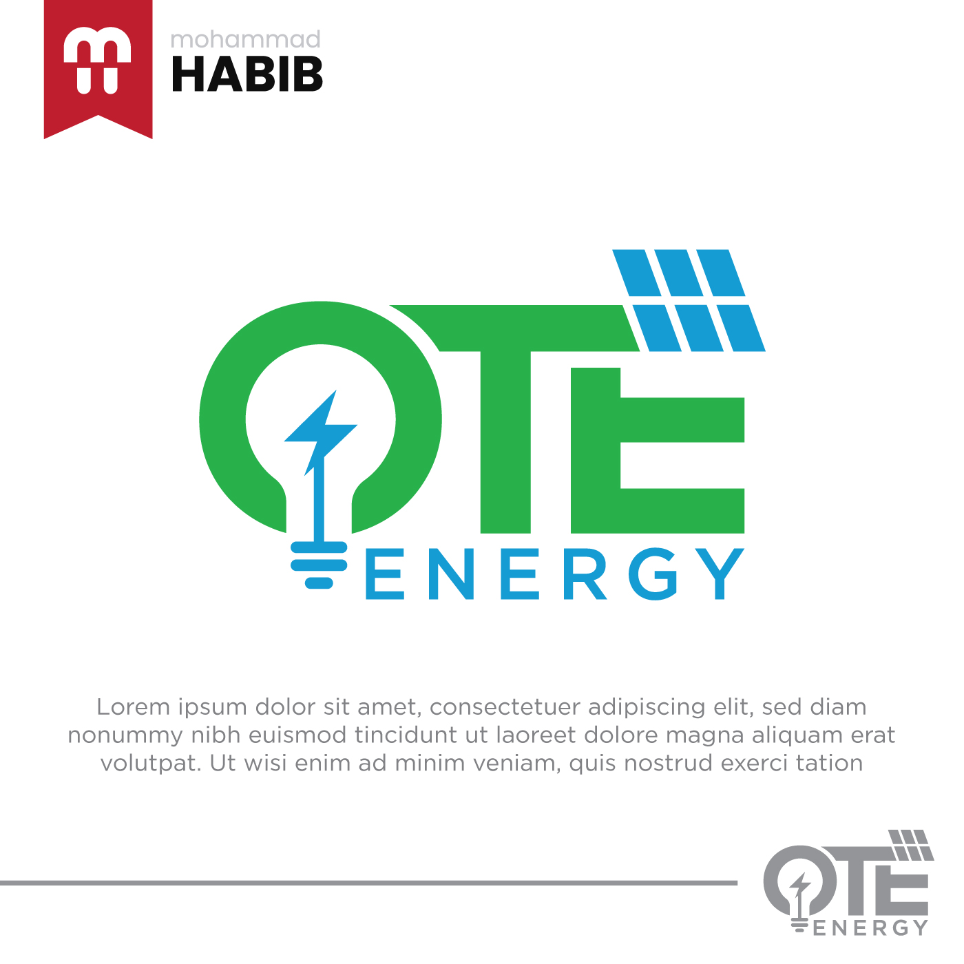 Logo Design by M Habib for this project | Design #31190108