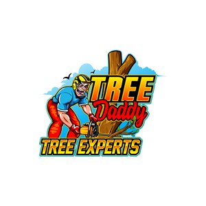 Logo Design by Dream Logo Design for this project | Design: #31191949