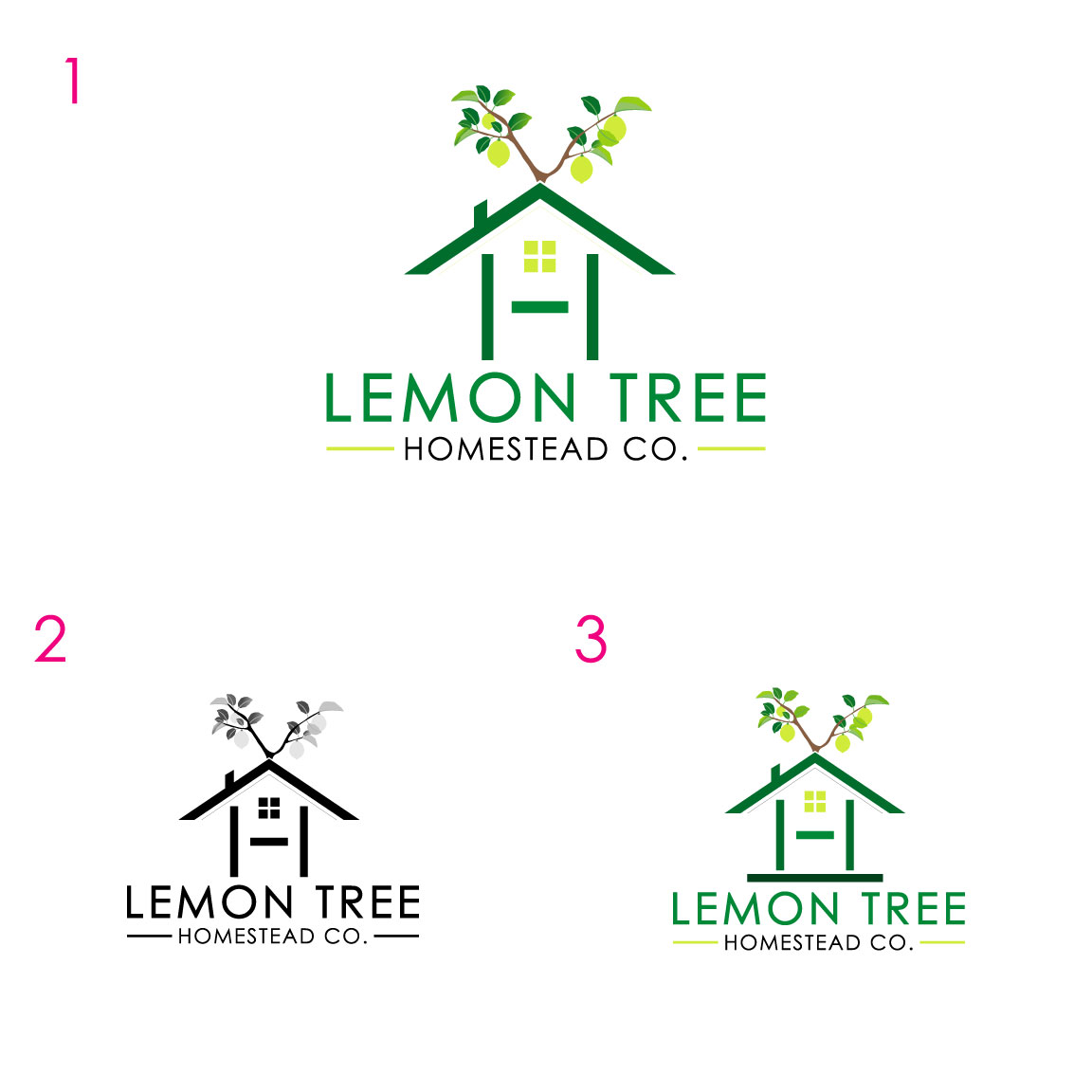 Logo Design by SHANTO 7 for this project | Design #31188304