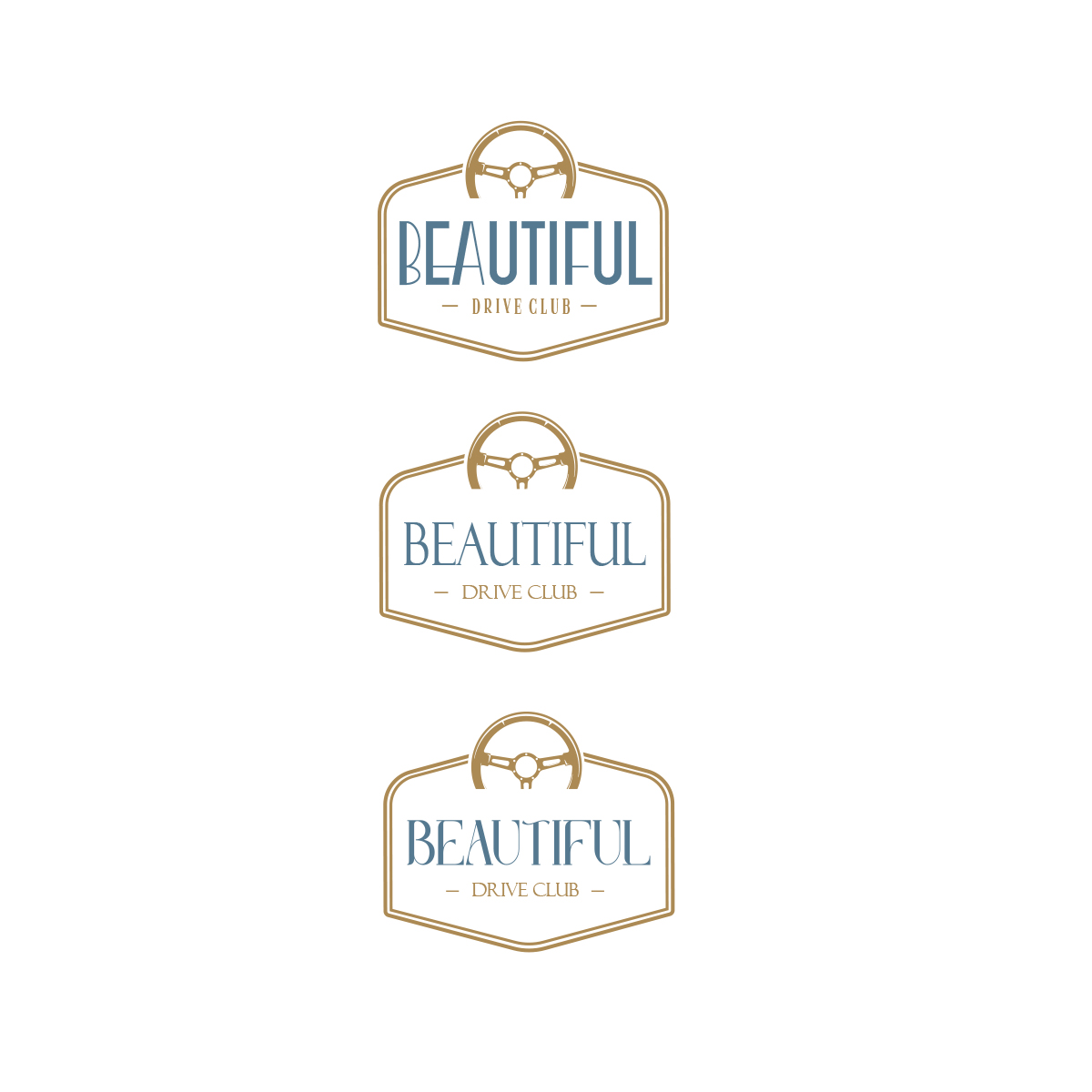 Diseño de Logo por DesignSNW para este proyecto | Diseño #31413249