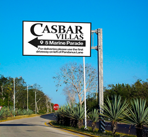 Graphic Design by Graphic Guy