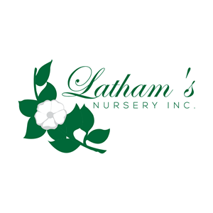 Logo Design by cah mbarep