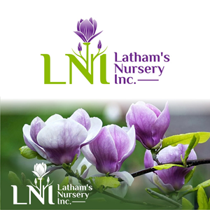 Logo Design by south door for Latham's Nursery | Design: #31219608