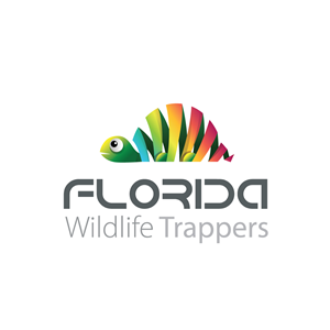 Logo Design by KVDenis