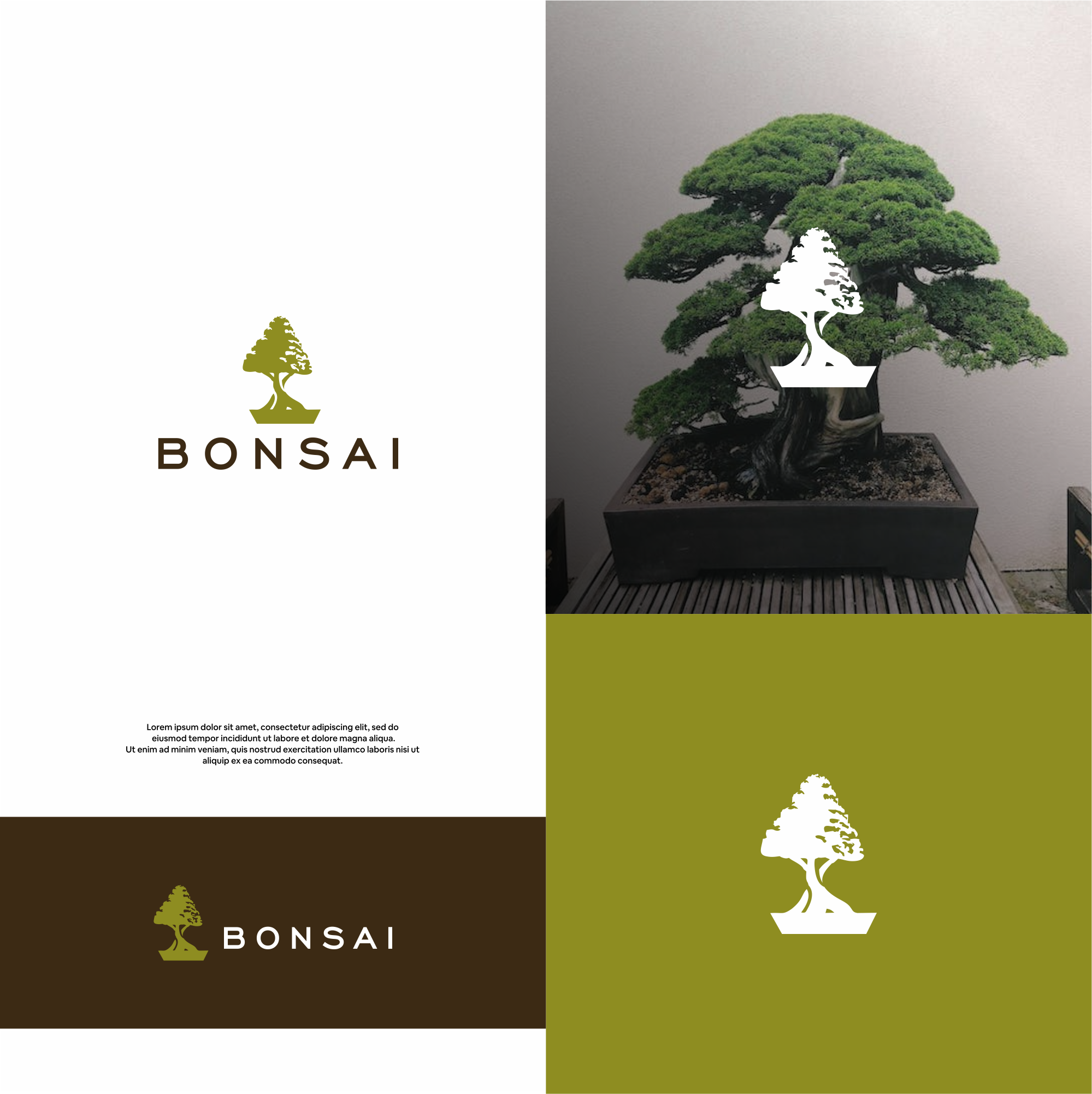 Design de Logo par DesignFirst pour ce projet | Design #31187030