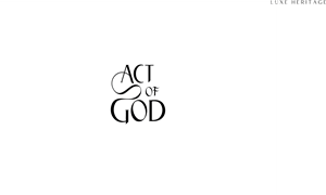 Logo Design by jizzy123