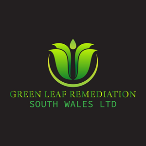 Logo Design by tariqul 2