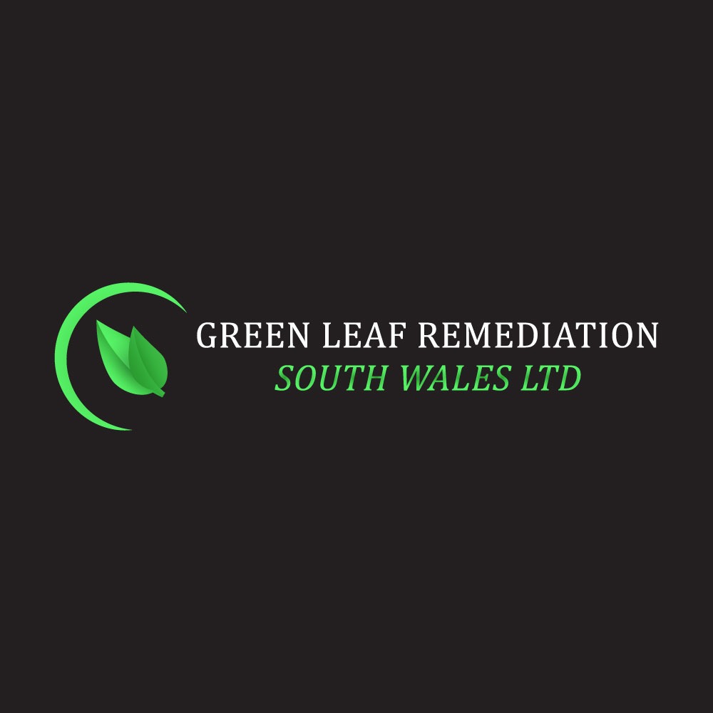 Logo Design by tariqul 2 for this project | Design #31194430