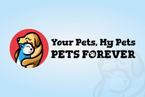 Logo Design by Artispire