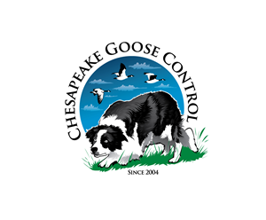Logo Design by LogoPoko for this project | Design #31201967