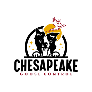 Design de Logo par creative.bugs pour ce projet | Design : #31207364