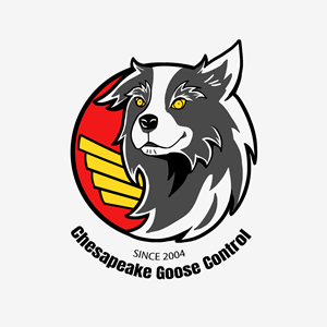 Logo Design by Pcat Vo for this project | Design #31211867