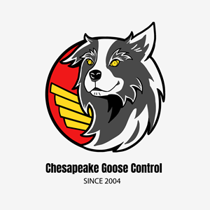 Design de Logo par Pcat Vo pour ce projet | Design : #31211868