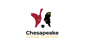 Logo Design by jose_luiz for this project | Design #31230199
