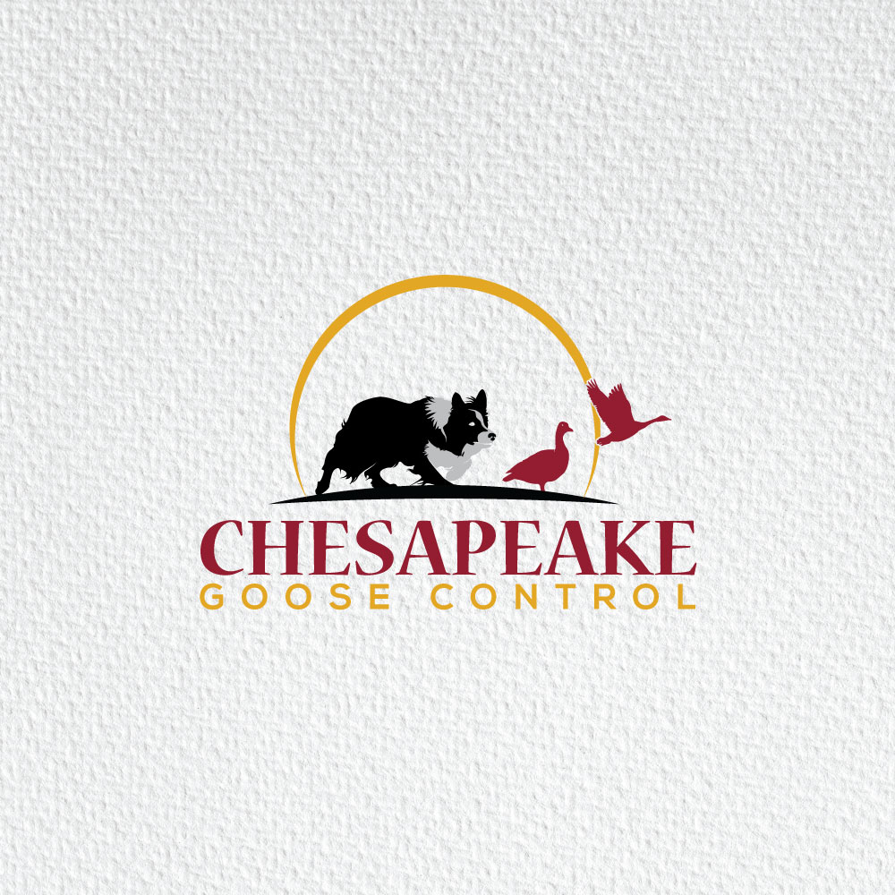 Logo Design by Ansh Design for this project | Design #31207748