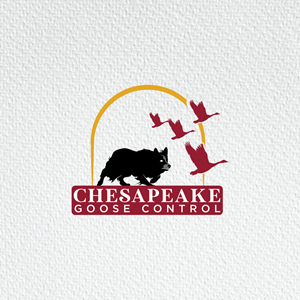 Design de Logo par Ansh Design pour ce projet | Design : #31207750