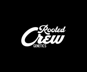 Logo Design by Nono KonsepVector for this project | Design: #31245987