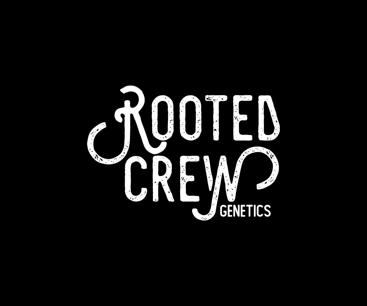 Diseño de Logo por Nono KonsepVector para este proyecto | Diseño #31245988