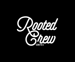 Logo Design by Nono KonsepVector for this project | Design: #31245993