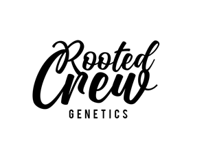 Logo Design by creativea for this project | Design: #31243539
