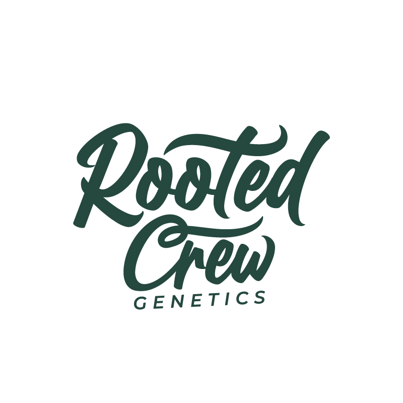 Logo Design by RAMDHONU for this project | Design #31220379
