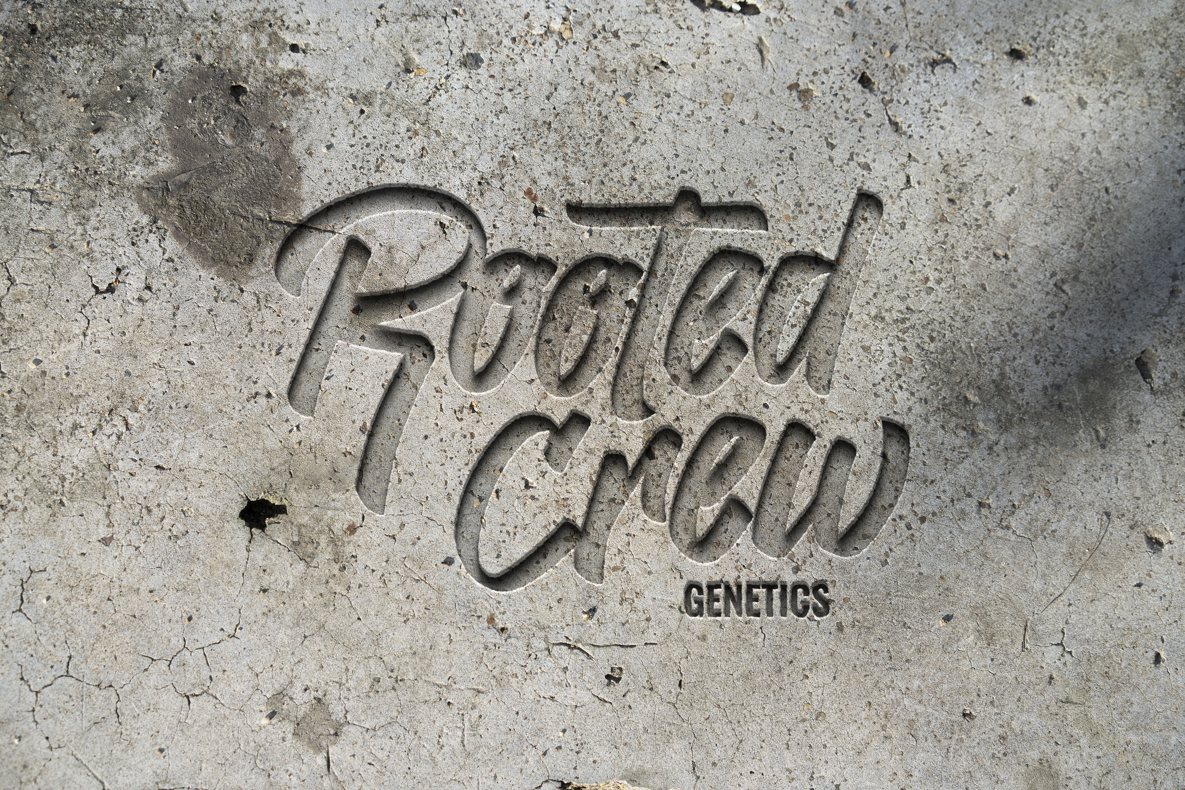 Design de Logo par MOH Studio pour ce projet | Design #31207239