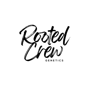Design de Logo par geni pour ce projet | Design #31234739