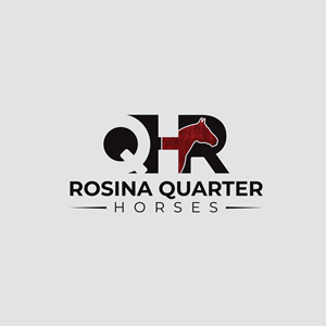 Logo Design by Dezine Soul
