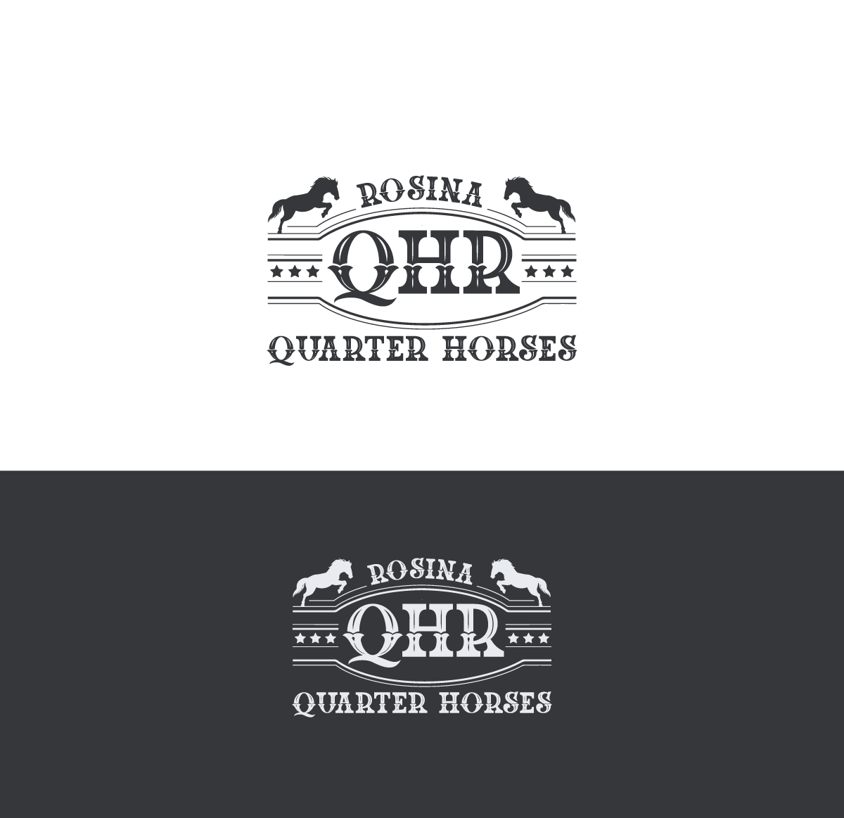 Diseño de Logo por anico para este proyecto | Diseño #31207995