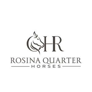 Logo Design by RAMDHONU