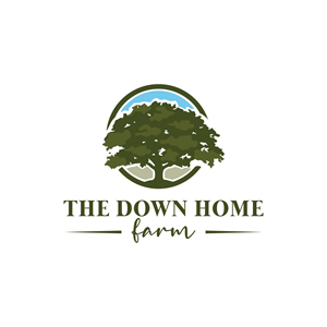 Logo Design by LAXMI DESIGNHUB for this project | Design: #31213104
