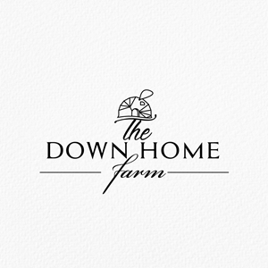Logo Design by Ansh Design for this project | Design: #31215488