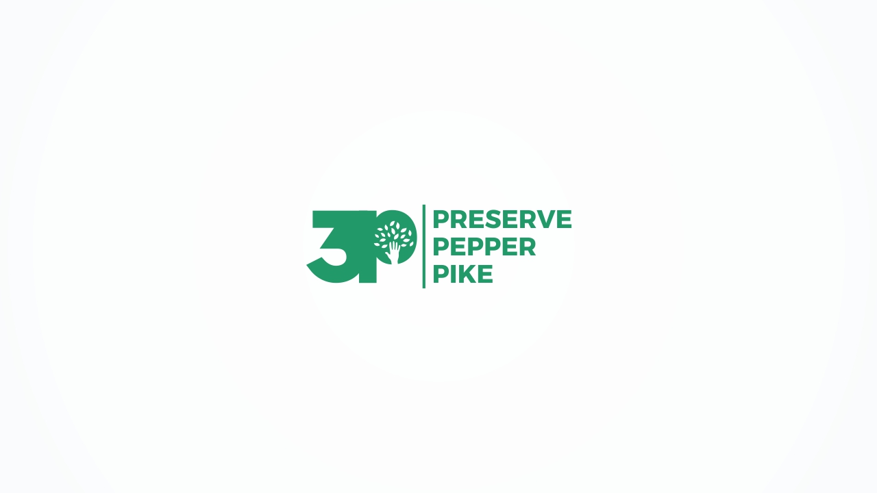 Logo Design by gee'studio20 for this project | Design #31237945