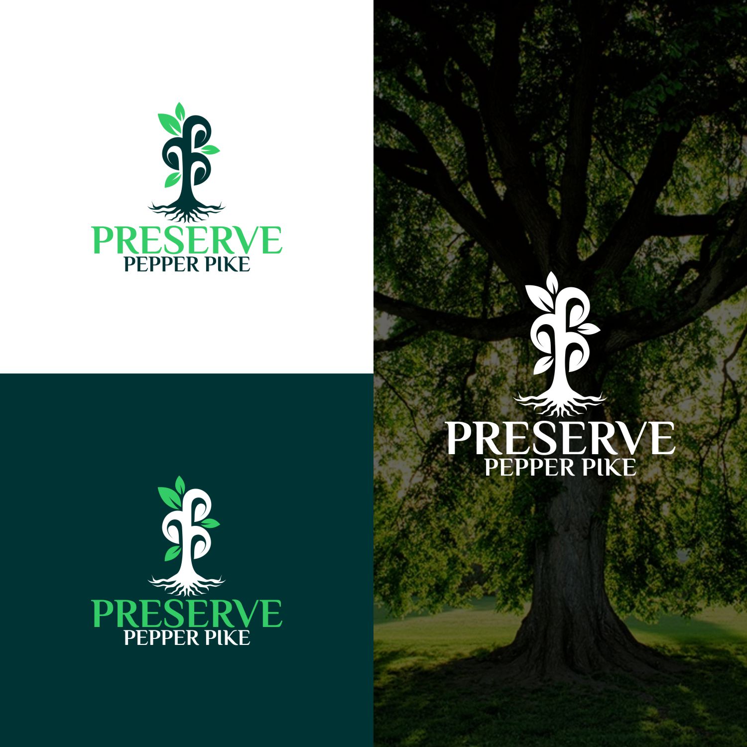 Logo Design by Logotablet for this project | Design #31229487