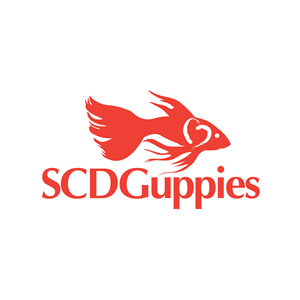 Logo Design by DSCMedia™