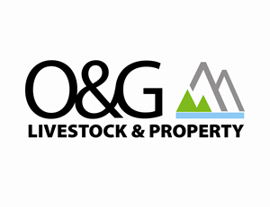 Logo Design by CS Works for this project | Design: #31275886