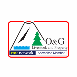 Logo Design by zahratussyita for this project | Design: #31266782